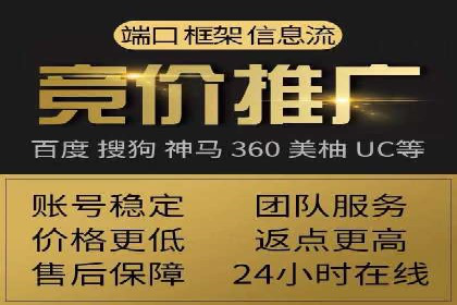 百度平台推广：成功案例解析与效果分析